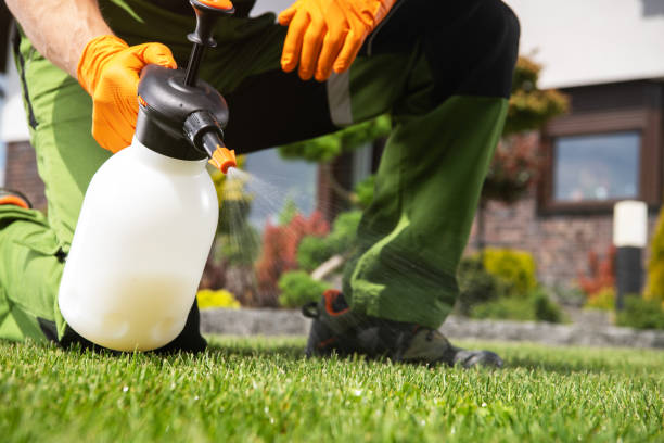 Best Commercial Pest Control Services  in Eloy, AZ