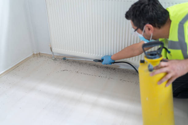 Best Wasp Removal Services  in Eloy, AZ